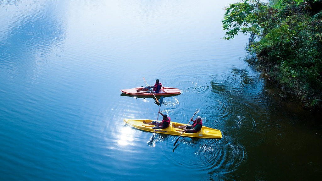 Alleppey-kayaking-booking